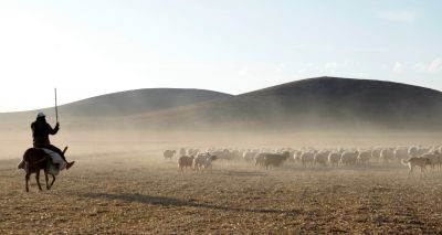 Göktürk Savaşı – bozkır muharebe sahnesi